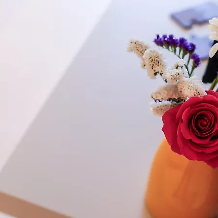 아파트 Ventunododici *