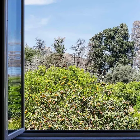 Ventunododici * 올리베리